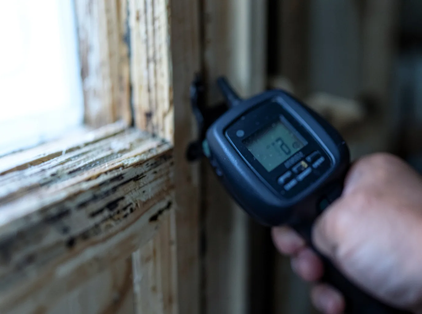 Contents Pack Out And Restoration in Fort Belvoir, VA